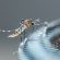 High resolution image of a Mosquito