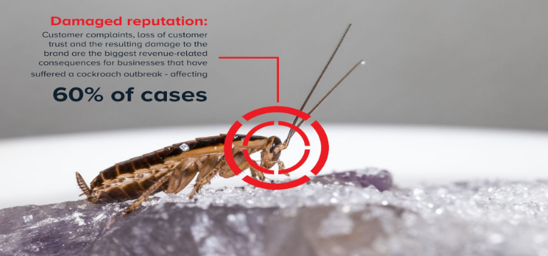 5 problems cockroaches can cause in the food processing industry