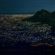 Nighttime aerial view of Cape Town with a digital grid overlay.